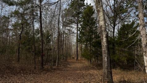 536 An County Road 1233 Palestine TX 75801