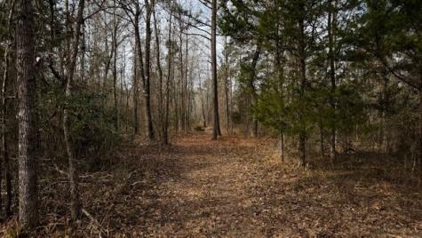536 An County Road 1233 Palestine TX 75801