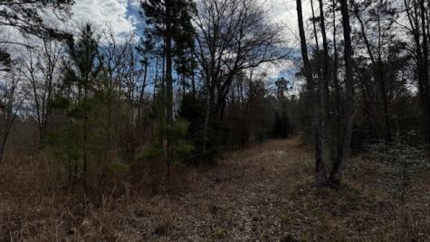 536 An County Road 1233 Palestine TX 75801
