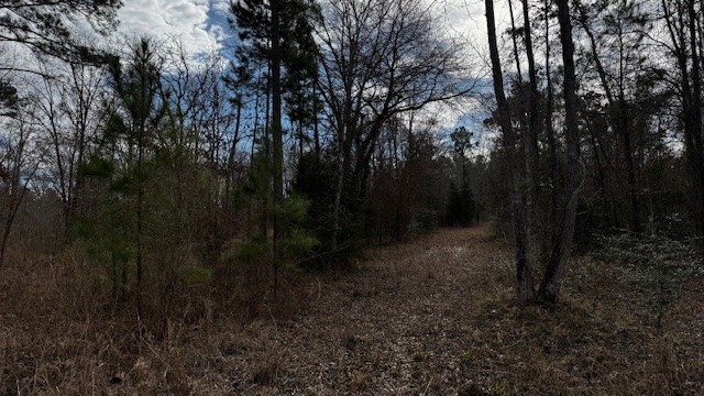 536 An County Road 1233 Palestine TX 75801