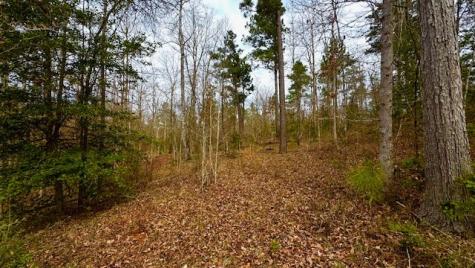 536 An County Road 1233 Palestine TX 75801
