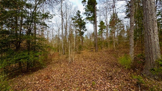 536 An County Road 1233 Palestine TX 75801