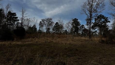 536 An County Road 1233 Palestine TX 75801