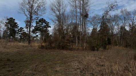 536 An County Road 1233 Palestine TX 75801