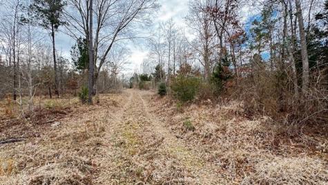 536 An County Road 1233 Palestine TX 75801