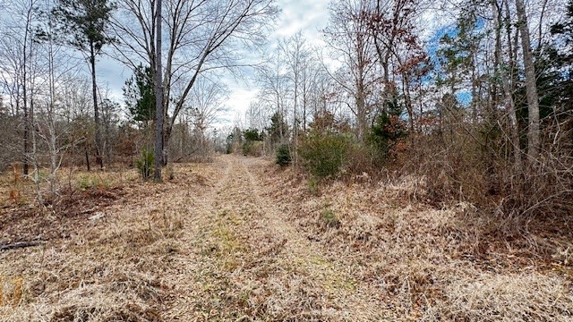536 An County Road 1233 Palestine TX 75801