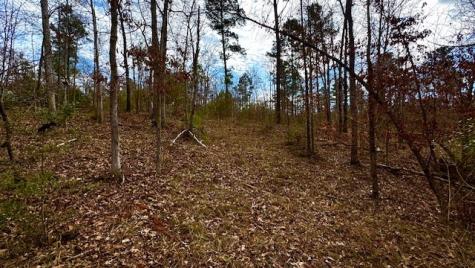 536 An County Road 1233 Palestine TX 75801
