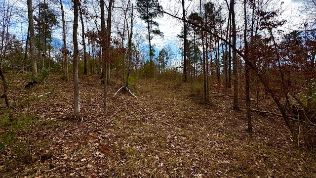 536 An County Road 1233 Palestine TX 75801