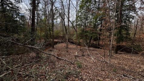 536 An County Road 1233 Palestine TX 75801