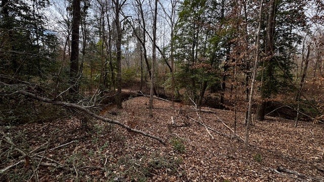 536 An County Road 1233 Palestine TX 75801