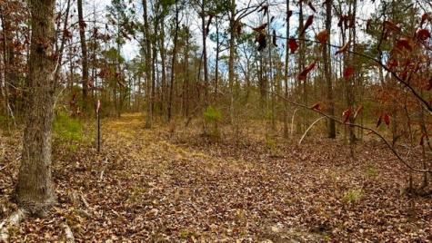 536 An County Road 1233 Palestine TX 75801