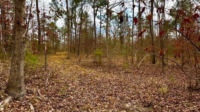 536 An County Road 1233 Palestine TX 75801