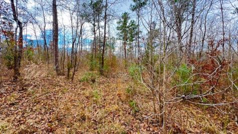 536 An County Road 1233 Palestine TX 75801