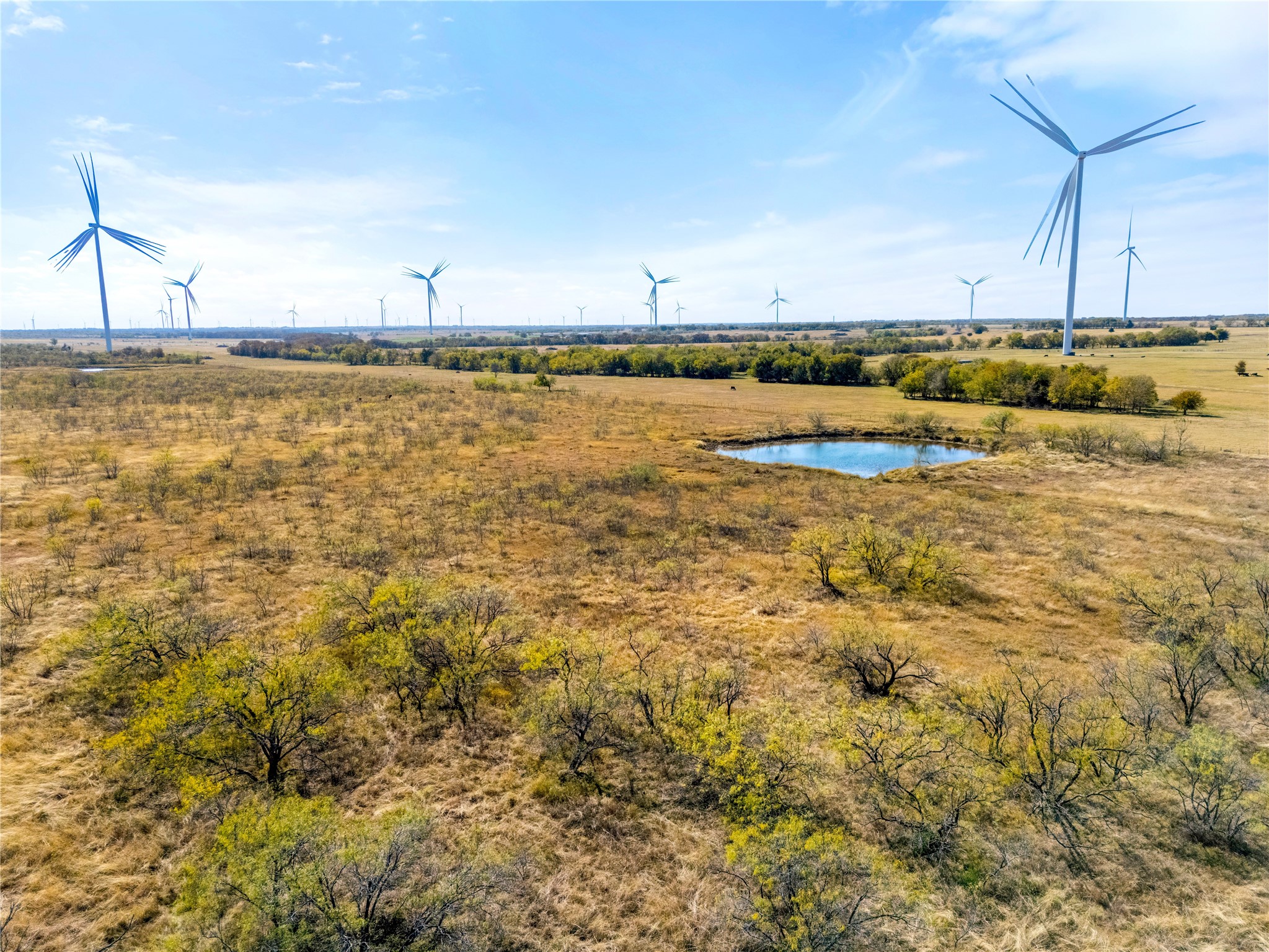 Lot 1 7561 Fm 106 & Fm 339 Road N Mount Calm TX 76673