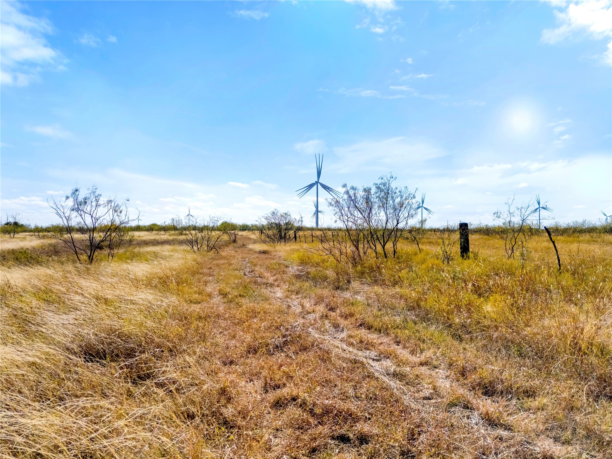 Lot 1 7561 Fm 106 & Fm 339 Road N Mount Calm TX 76673
