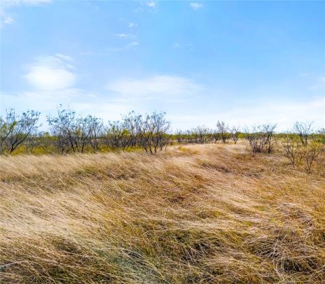 Lot 1 7561 Fm 106 & Fm 339 Road N Mount Calm TX 76673