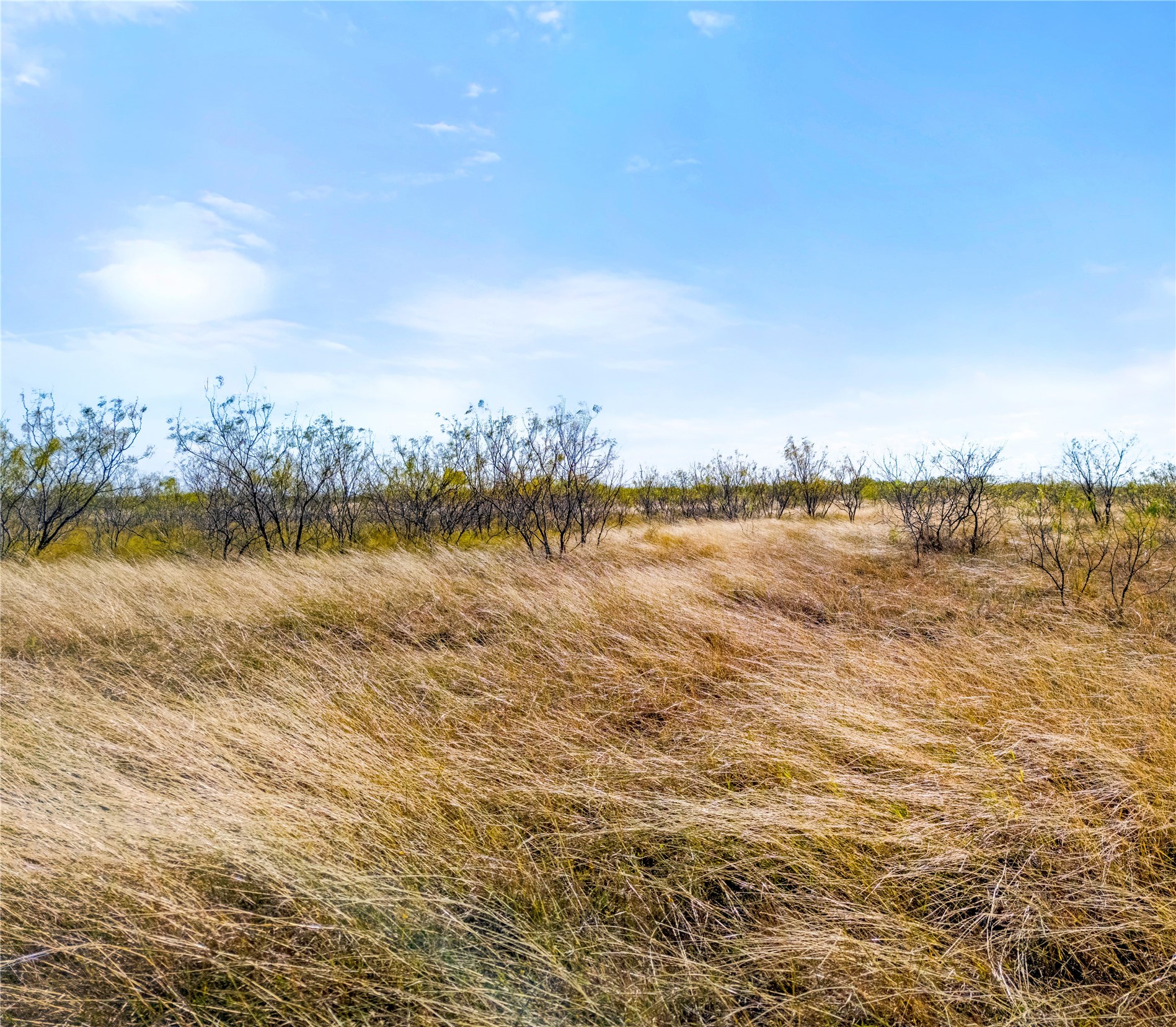 Lot 1 7561 Fm 106 & Fm 339 Road N Mount Calm TX 76673