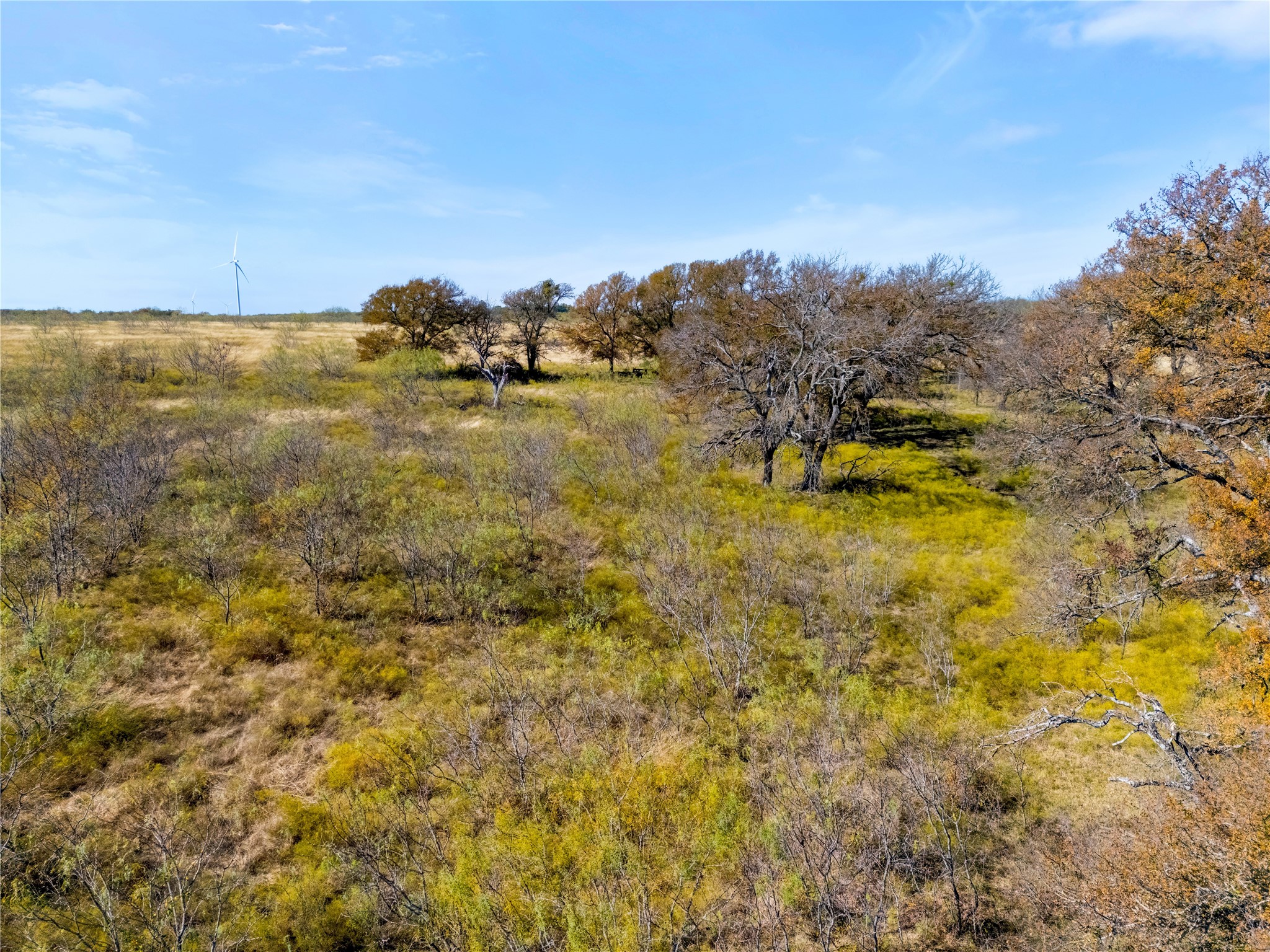 Lot 1 7561 Fm 106 & Fm 339 Road N Mount Calm TX 76673