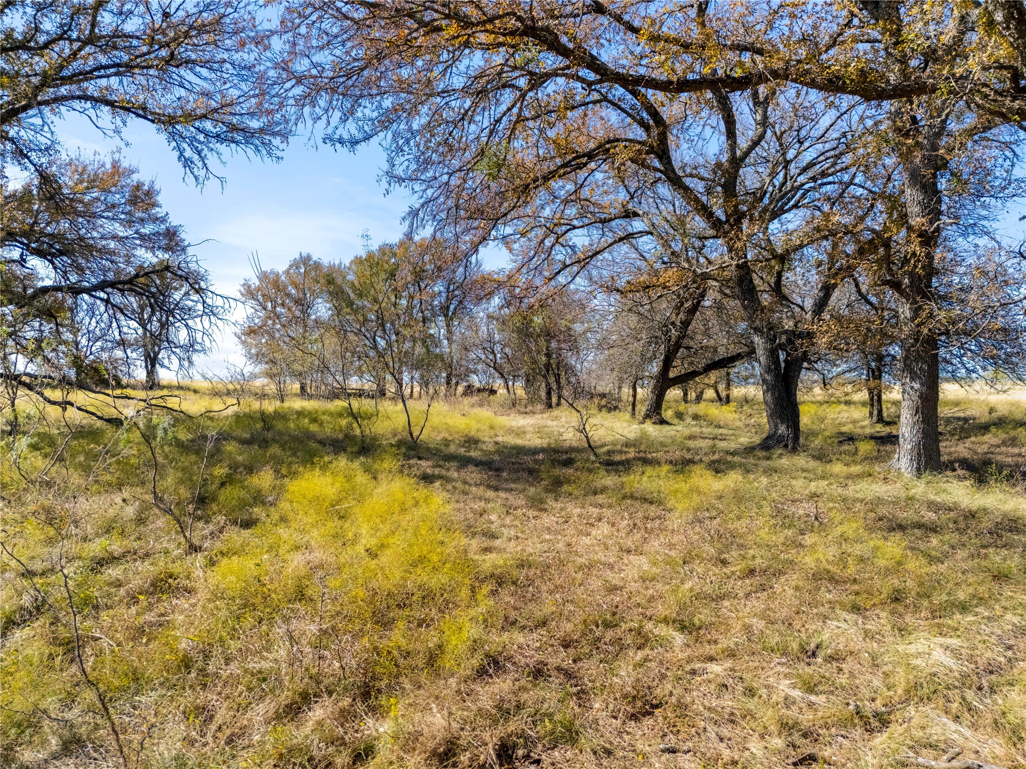 Lot 1 7561 Fm 106 & Fm 339 Road N Mount Calm TX 76673