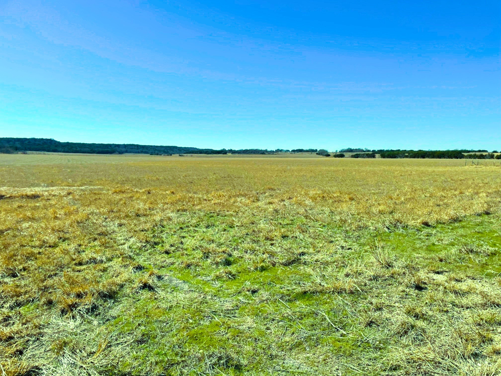 Tbd Cr 3230 Hico TX 76457