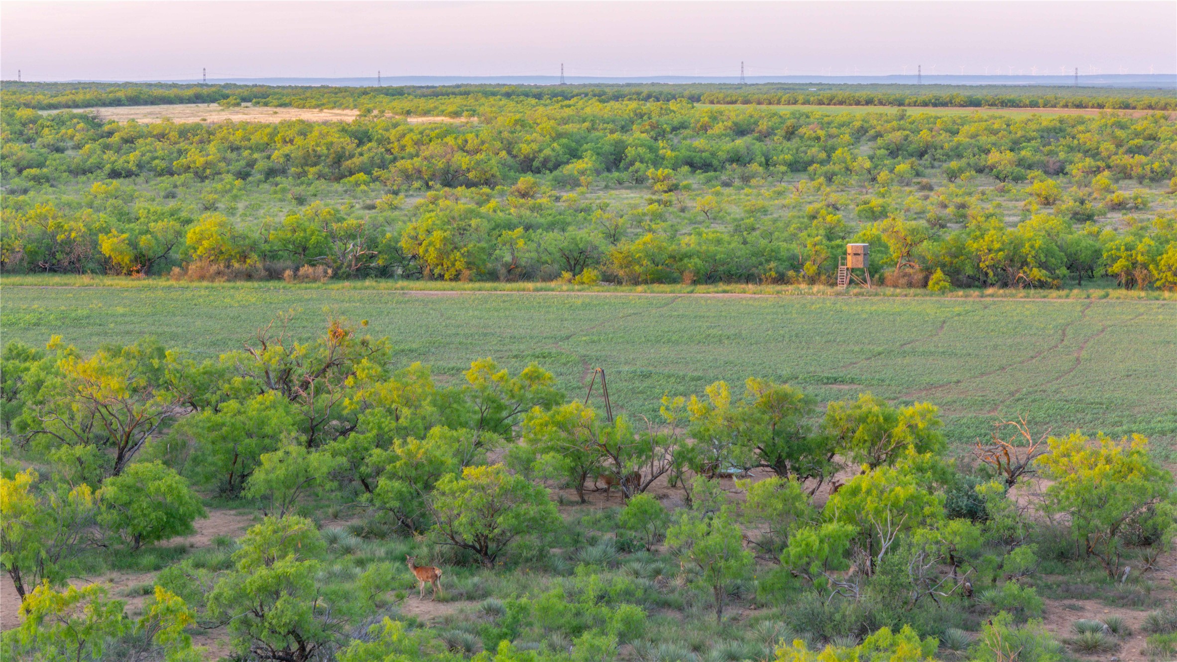2367 County Road 311 Gouldbusk TX 76845