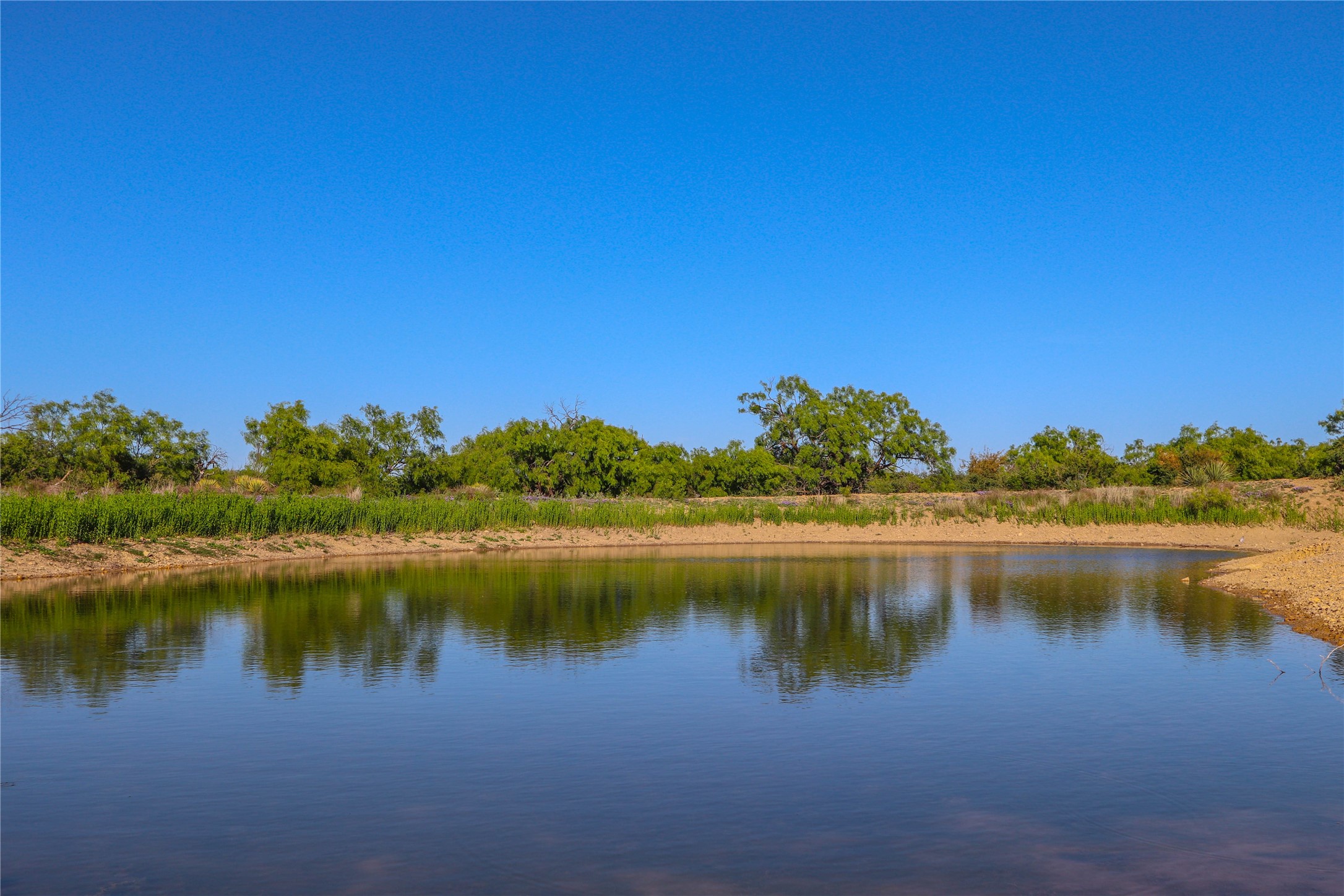 2367 County Road 311 Gouldbusk TX 76845
