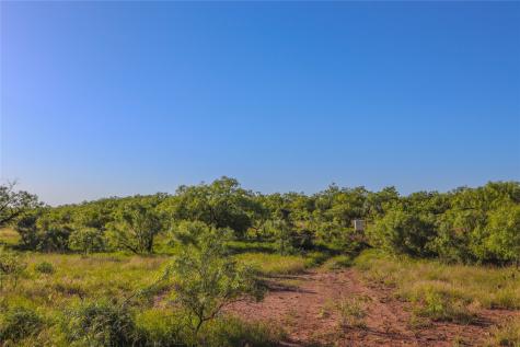 2367 County Road 311 Gouldbusk TX 76845