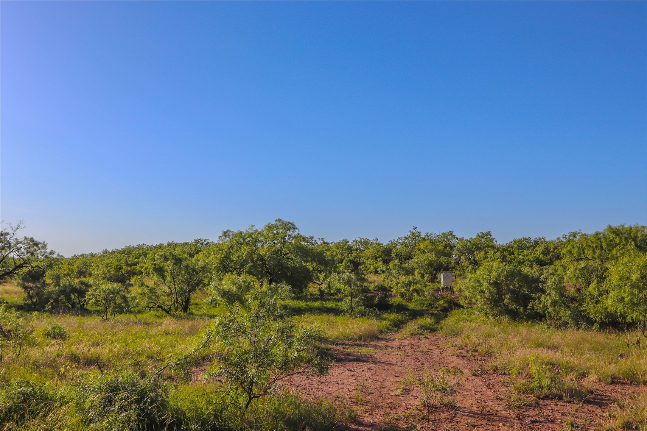 2367 County Road 311 Gouldbusk TX 76845