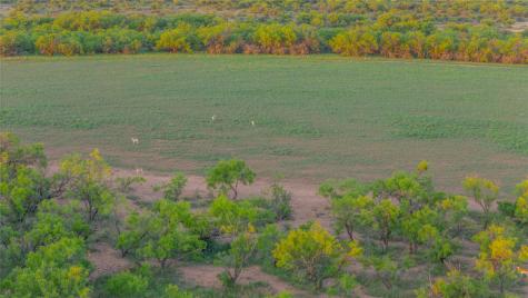 2367 County Road 311 Gouldbusk TX 76845