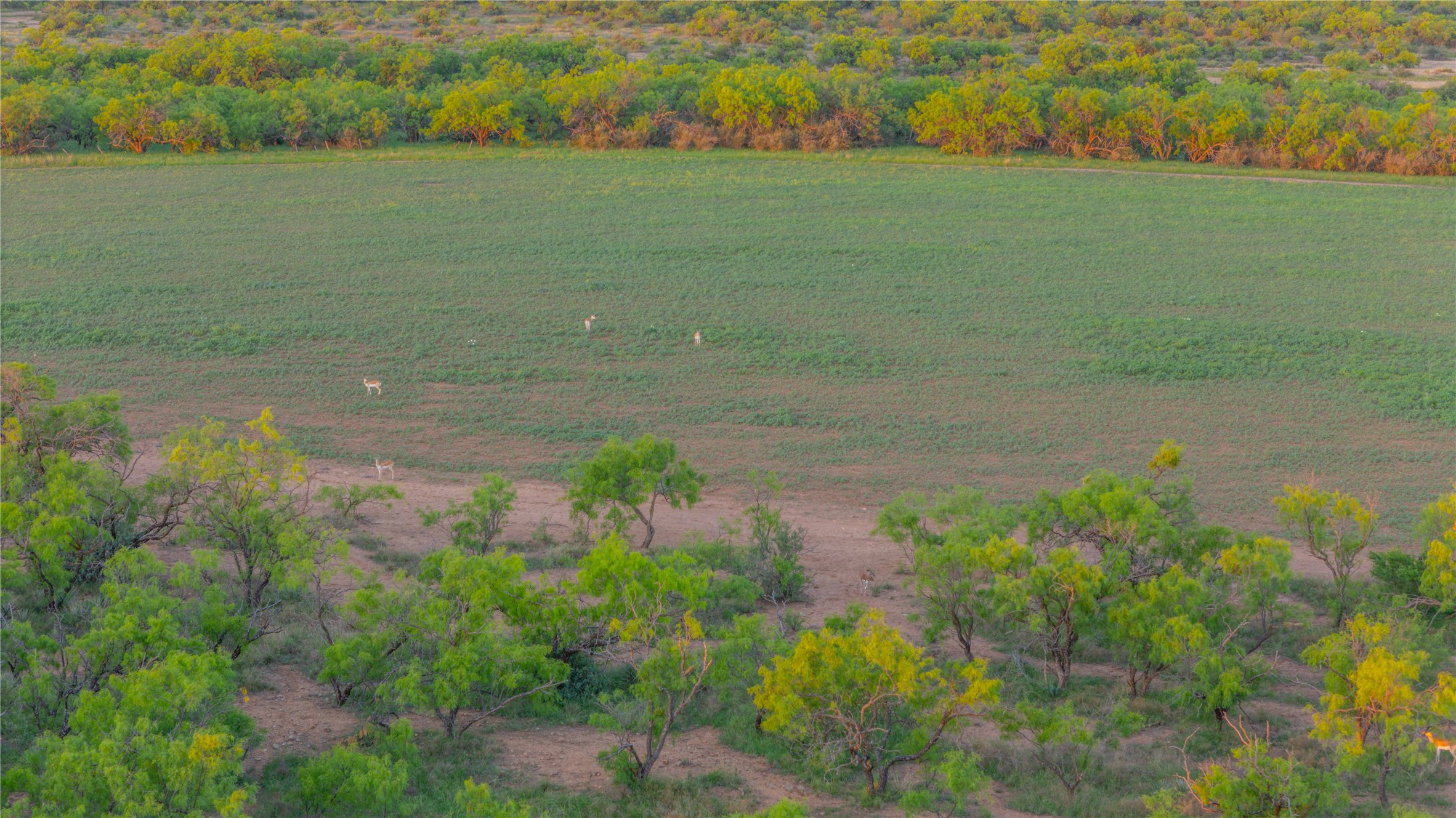 2367 County Road 311 Gouldbusk TX 76845