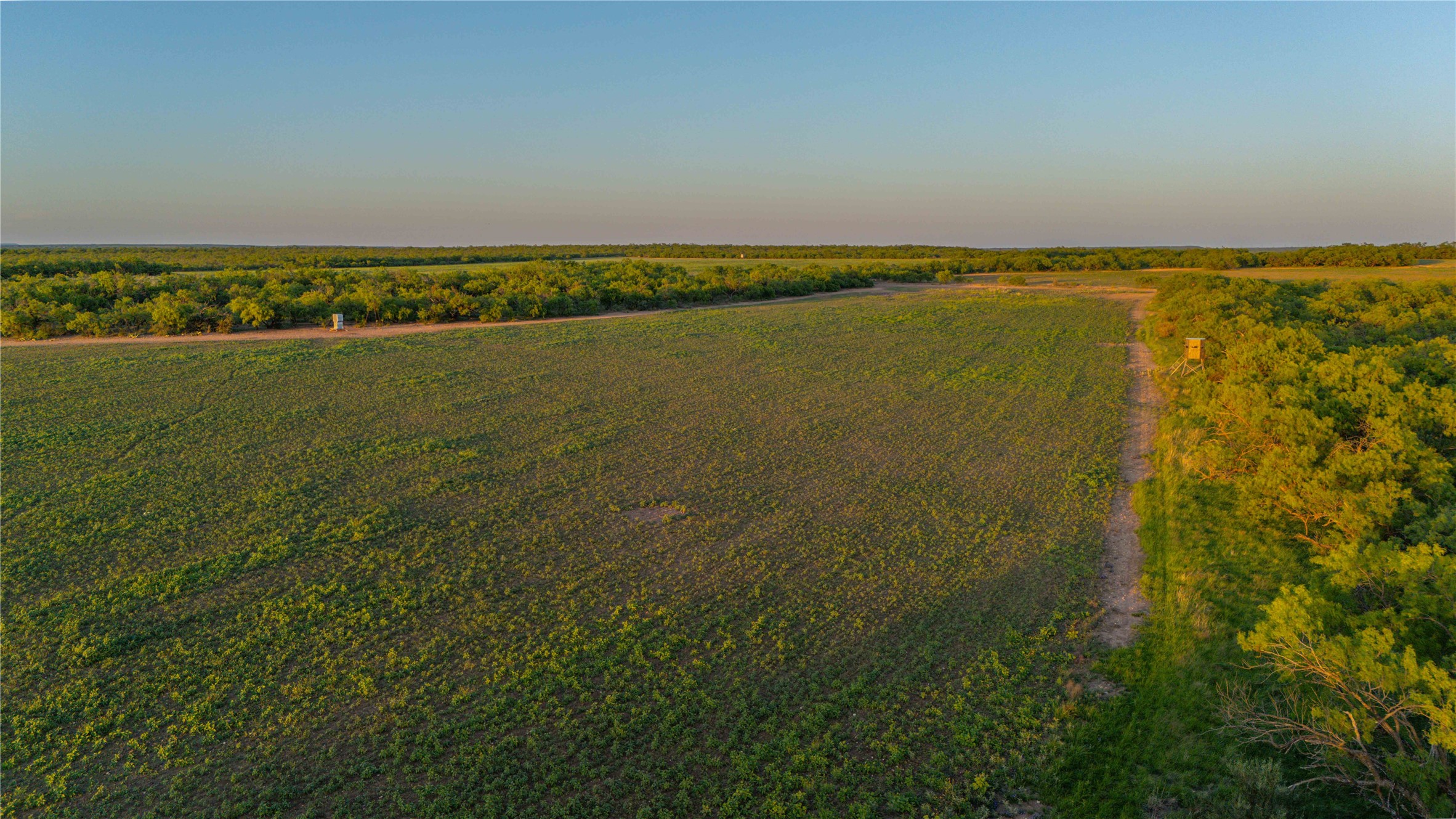 2367 County Road 311 Gouldbusk TX 76845