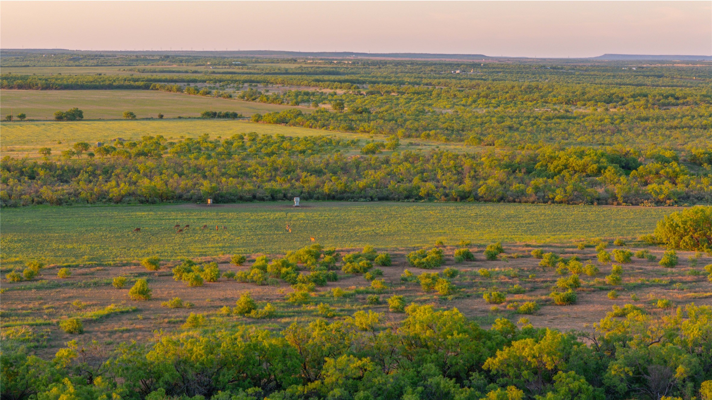 2367 County Road 311 Gouldbusk TX 76845