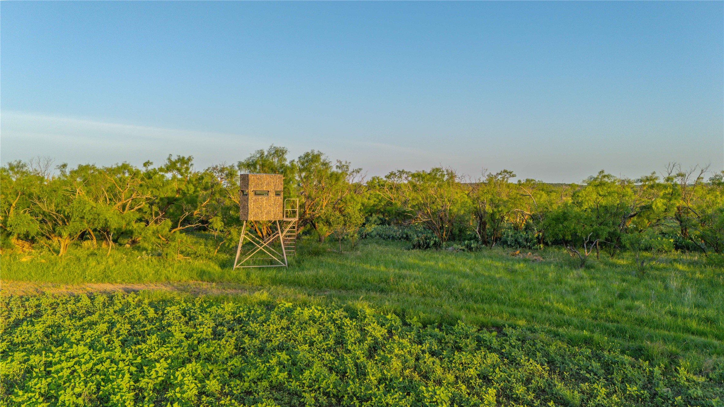 2367 County Road 311 Gouldbusk TX 76845