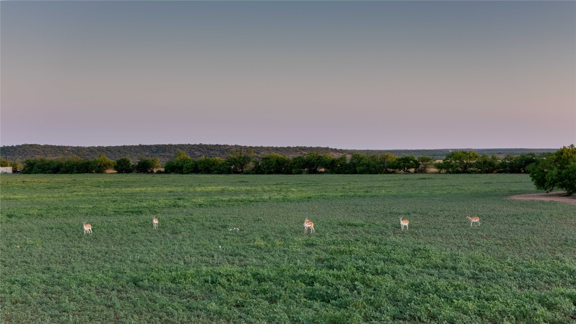 2367 County Road 311 Gouldbusk TX 76845