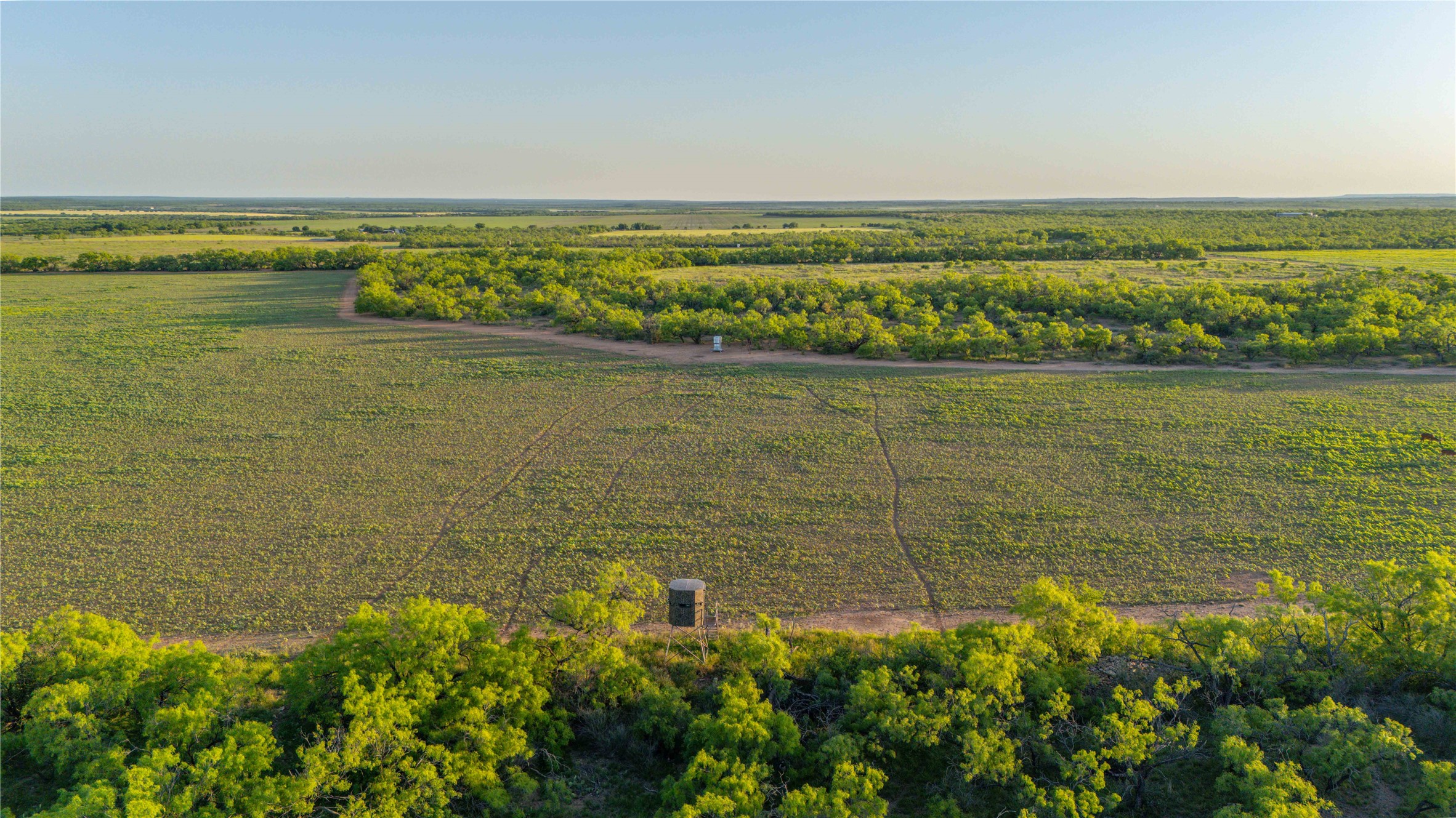 2367 County Road 311 Gouldbusk TX 76845