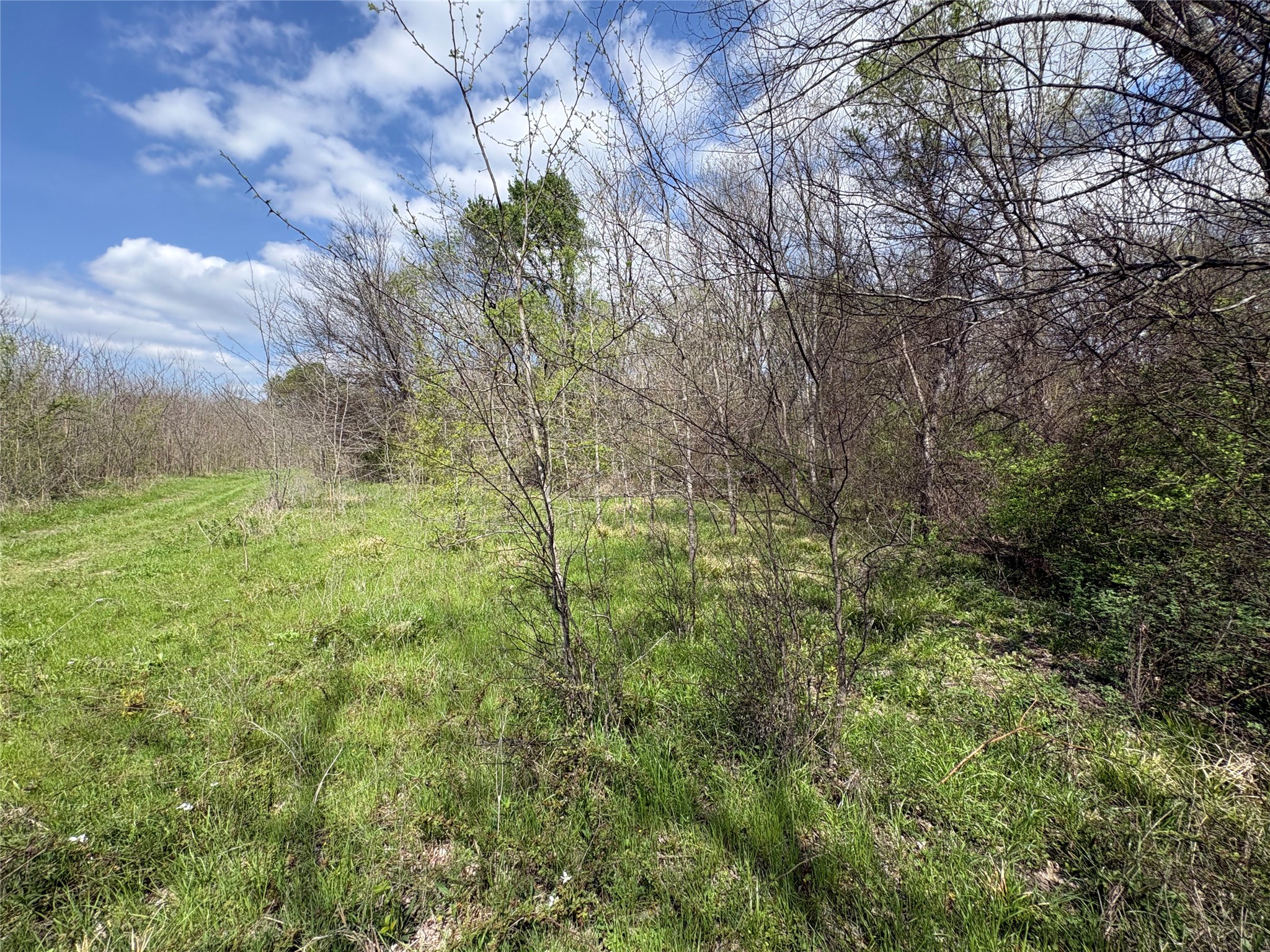 Tdb County Road 3502 Sulphur Springs TX 75482
