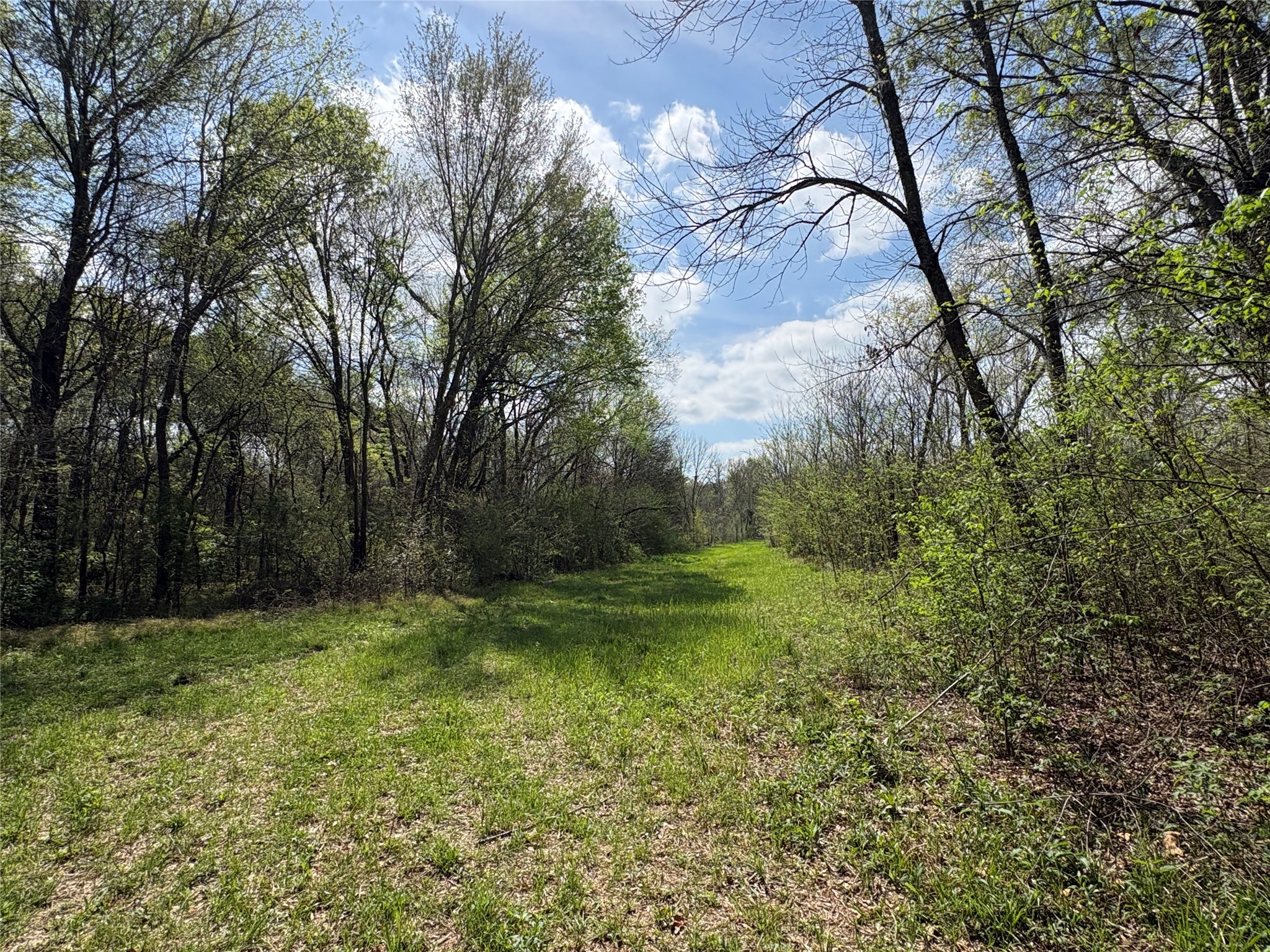 Tdb County Road 3502 Sulphur Springs TX 75482