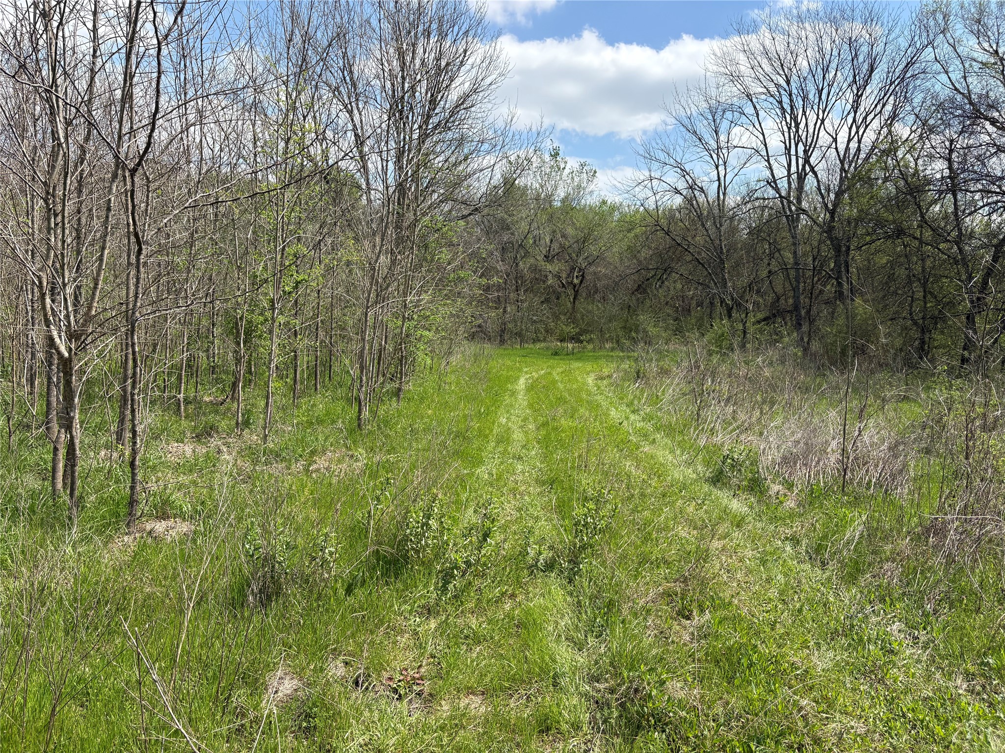 Tdb County Road 3502 Sulphur Springs TX 75482