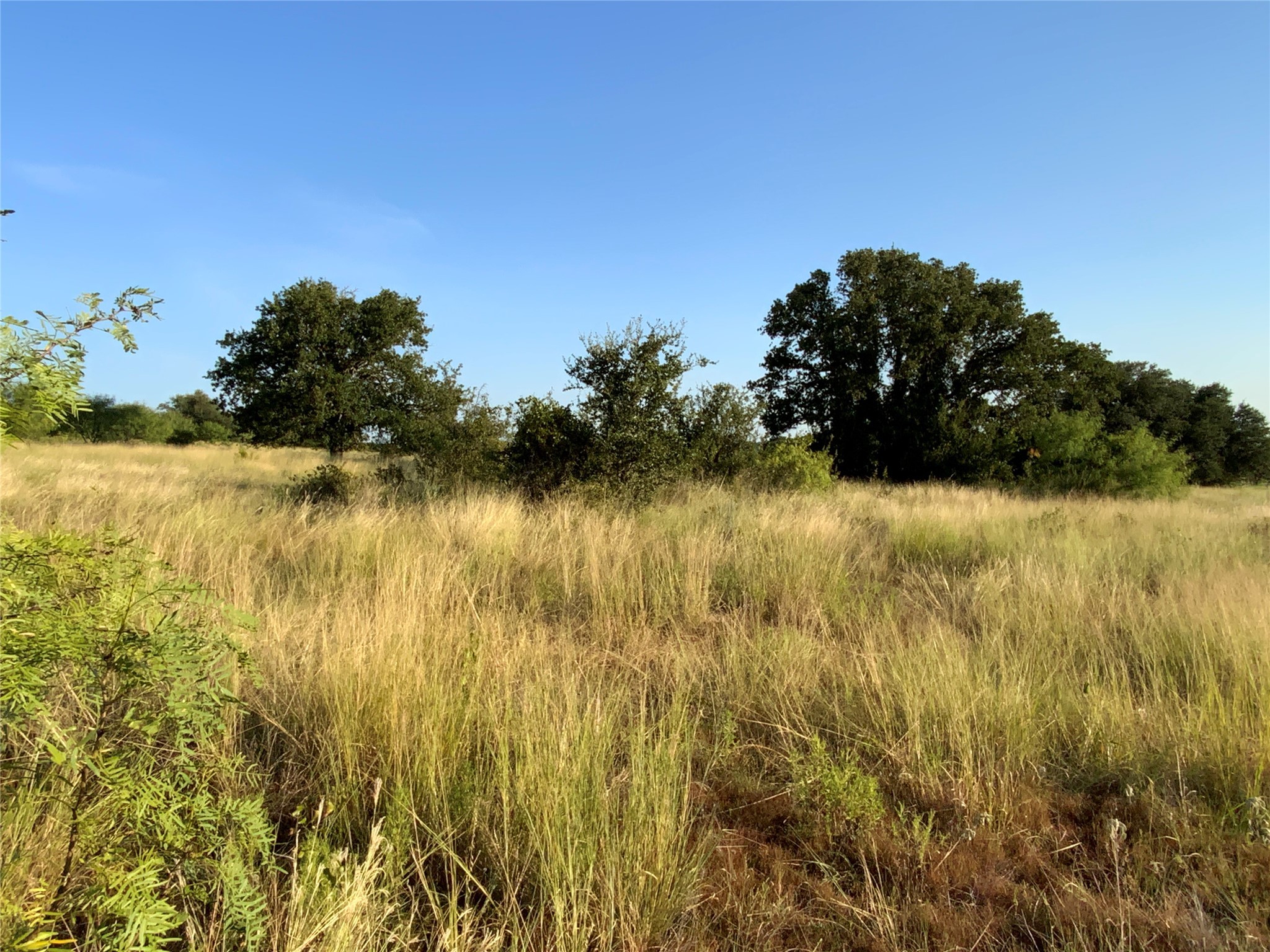 Tbd Cr 135 Sidney TX 76857