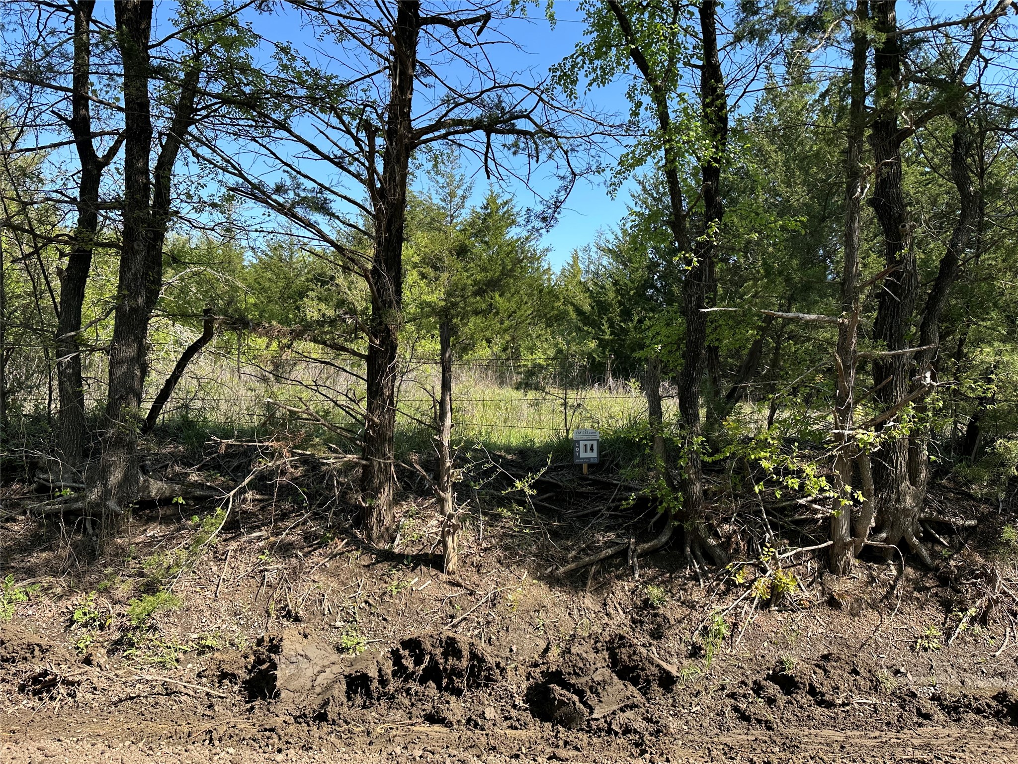 Tract 14 County Road 2951 Honey Grove TX 75446