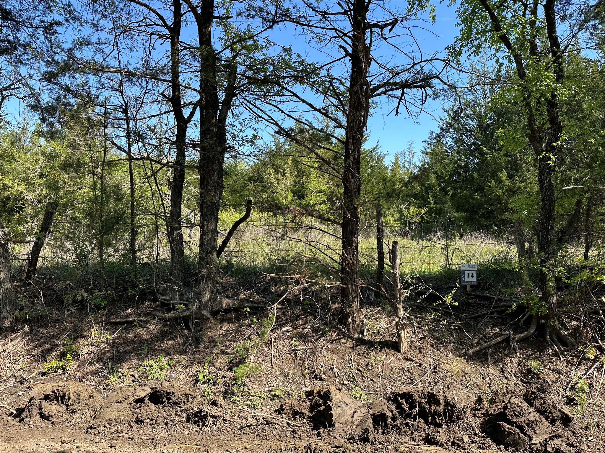 Tract 14 County Road 2951 Honey Grove TX 75446