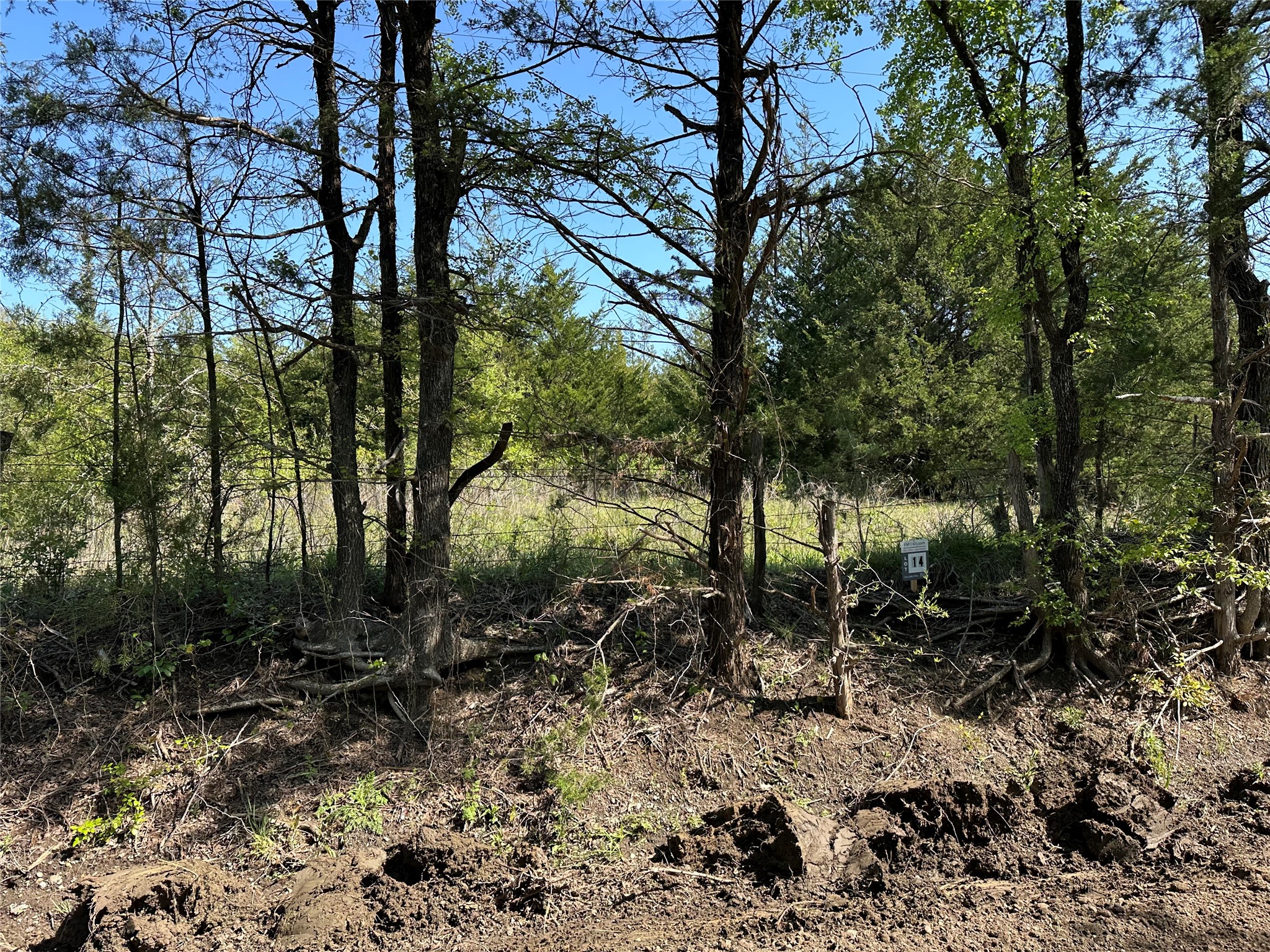 Tract 14 County Road 2951 Honey Grove TX 75446