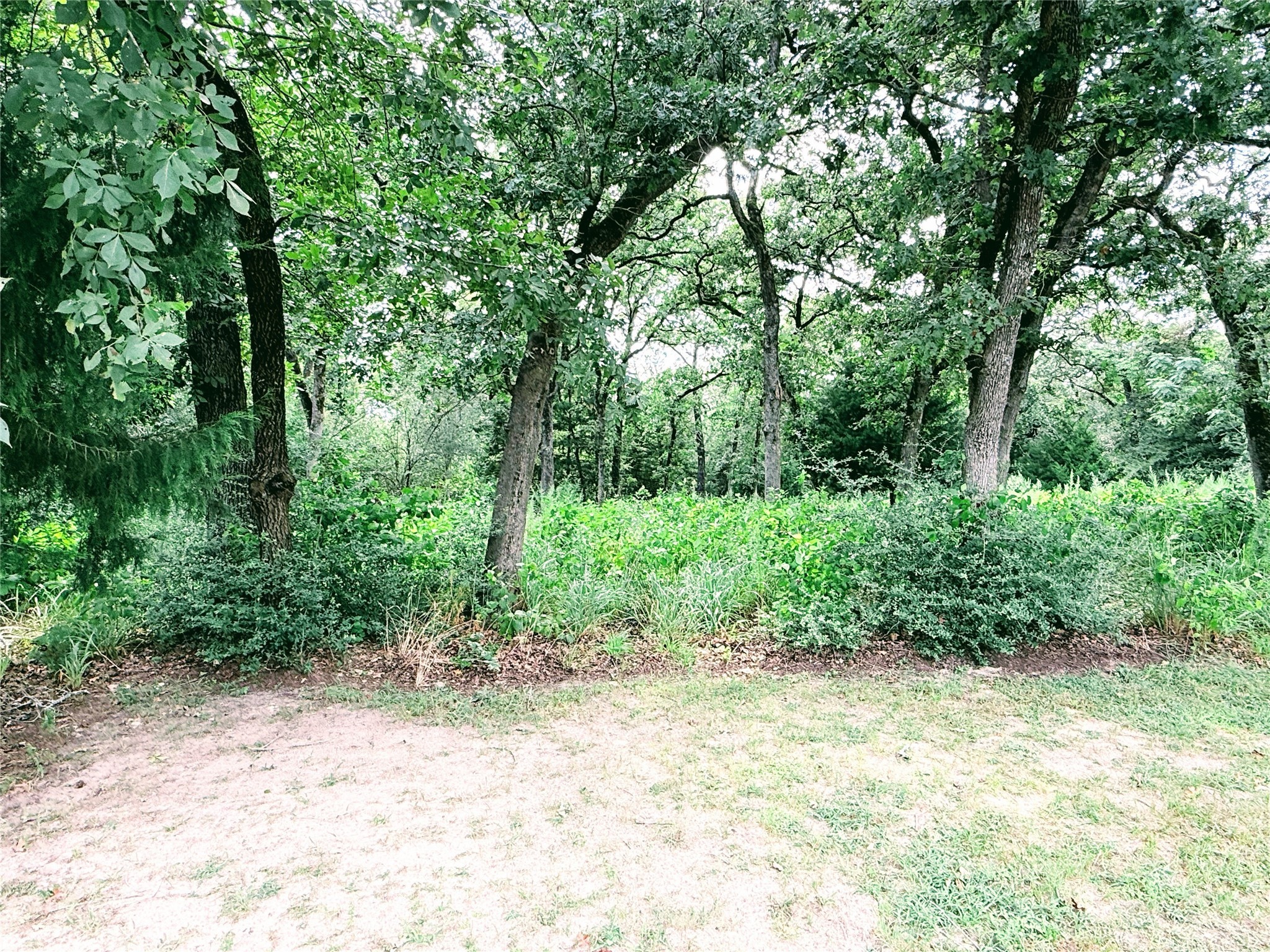 Tbd Trailride Hilltop Lakes TX 77871