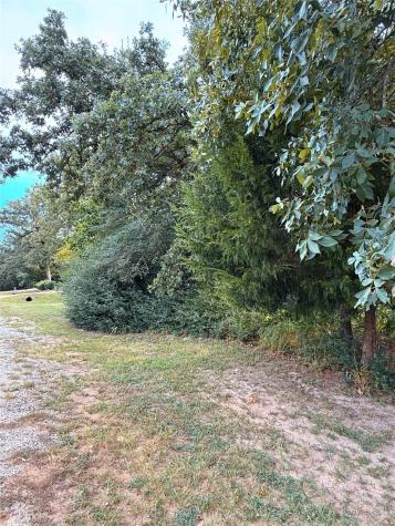 Tbd Trailride Hilltop Lakes TX 77871