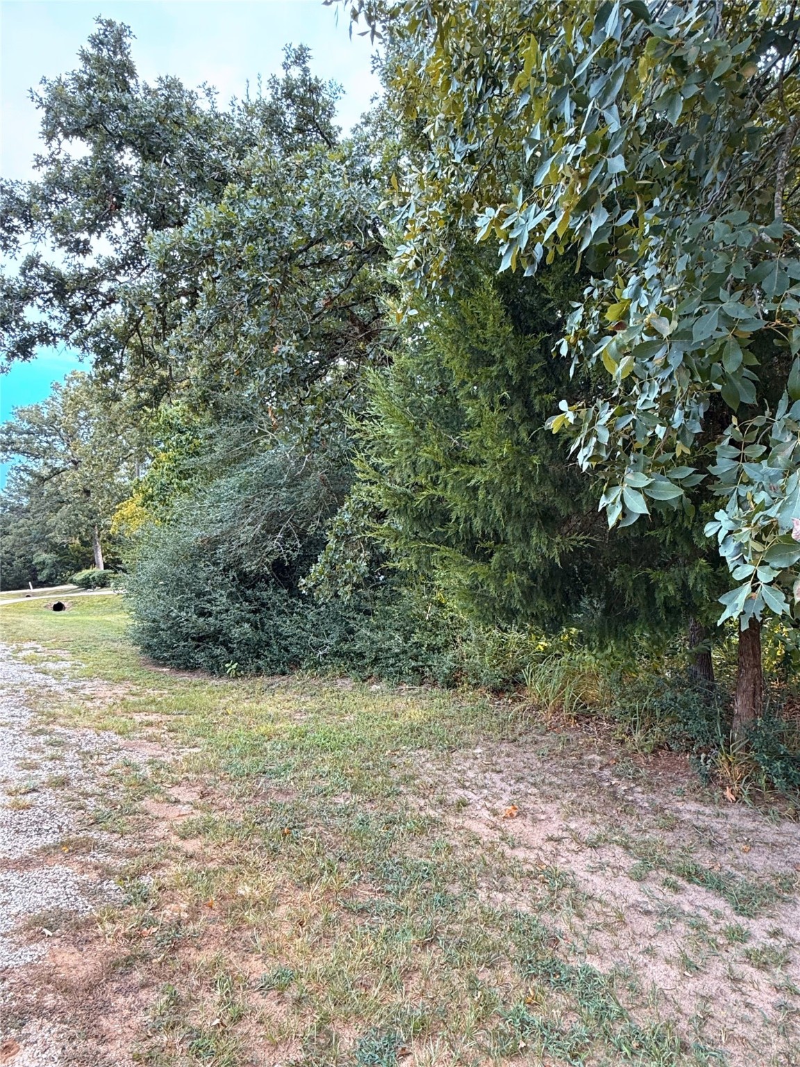 Tbd Trailride Hilltop Lakes TX 77871