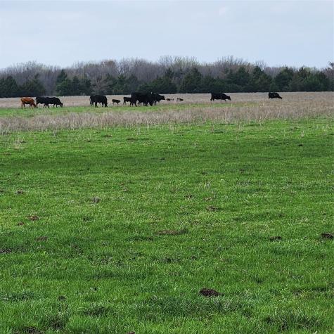 00 W Hinton Street Tioga TX 76271