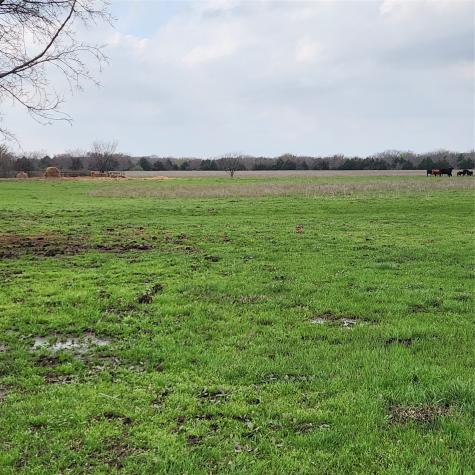 00 W Hinton Street Tioga TX 76271