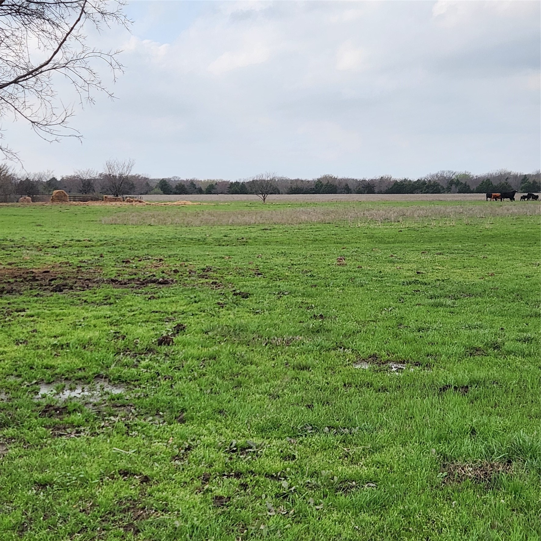 00 W Hinton Street Tioga TX 76271