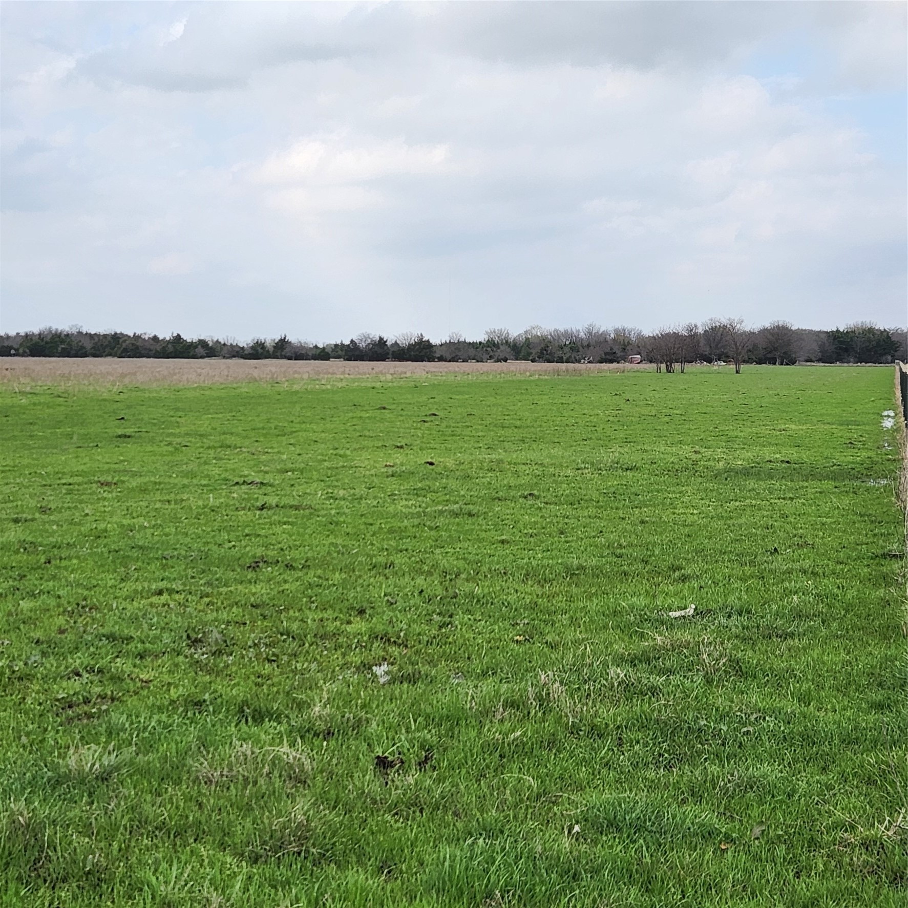 00 W Hinton Street Tioga TX 76271