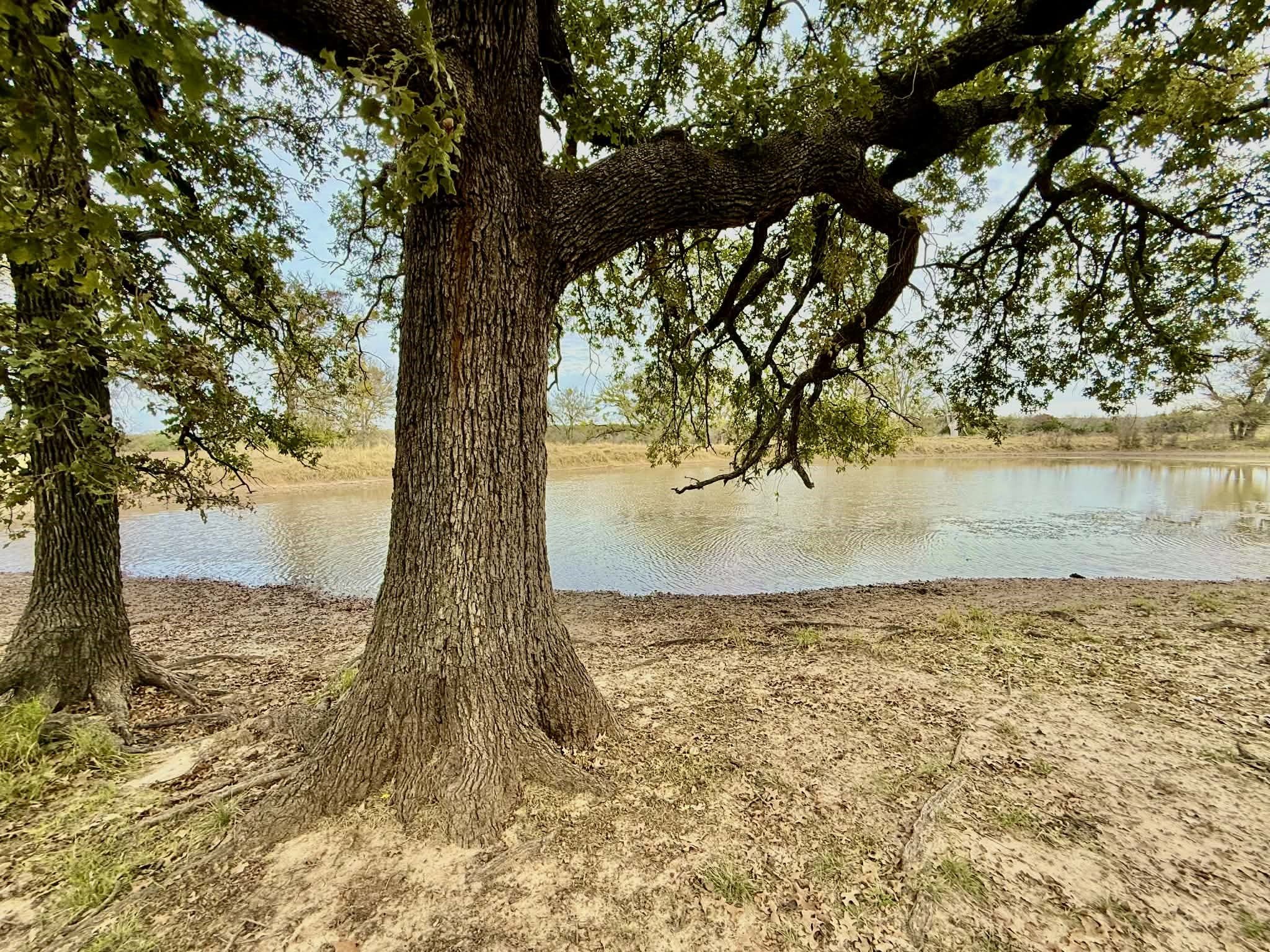 Tbd Cr 2200 Hico TX 76457